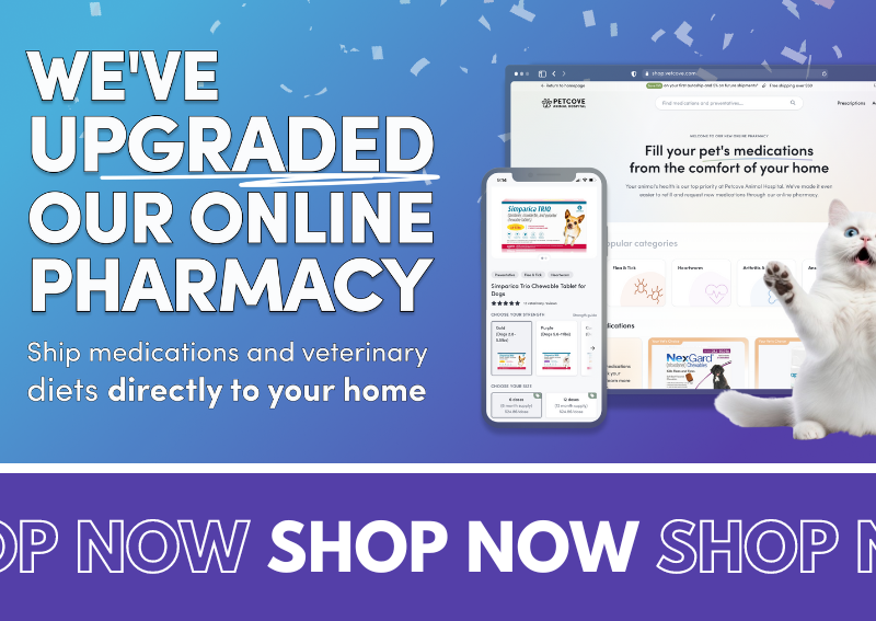 Carousel Slide 1: Shop Our Online Pharmacy