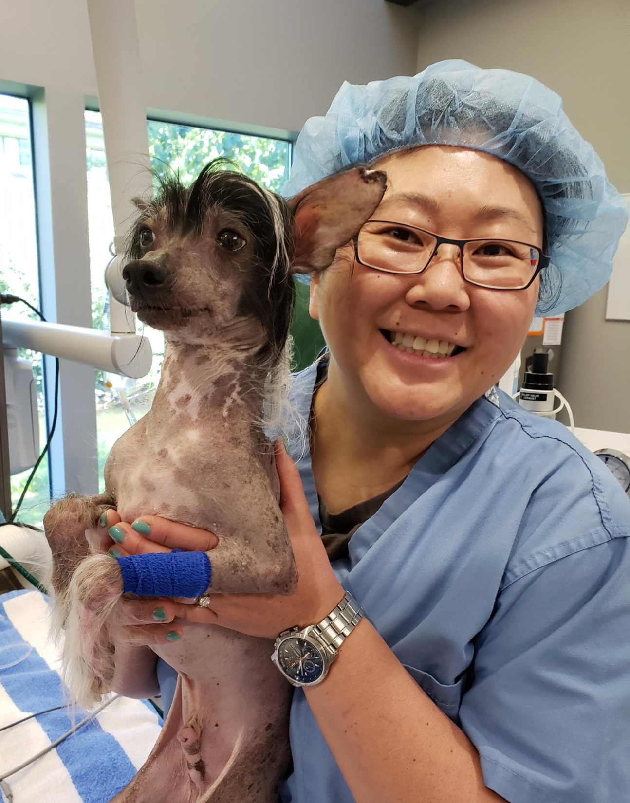 Dr. Peng, DVM
